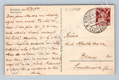 Pohlednice Karlovy Vary lesní zákoutí 1921 (M20138)