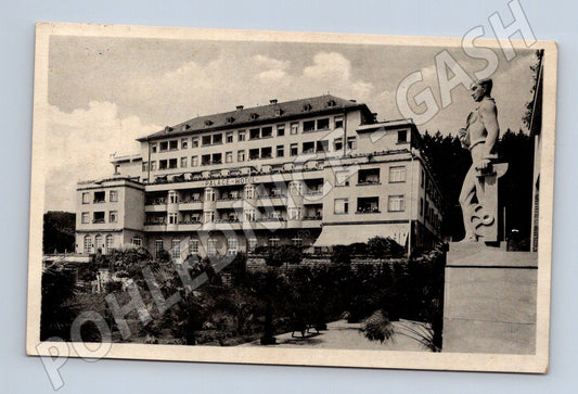 Pohlednice Františkovy Lázně hotel Palace (M20193)
