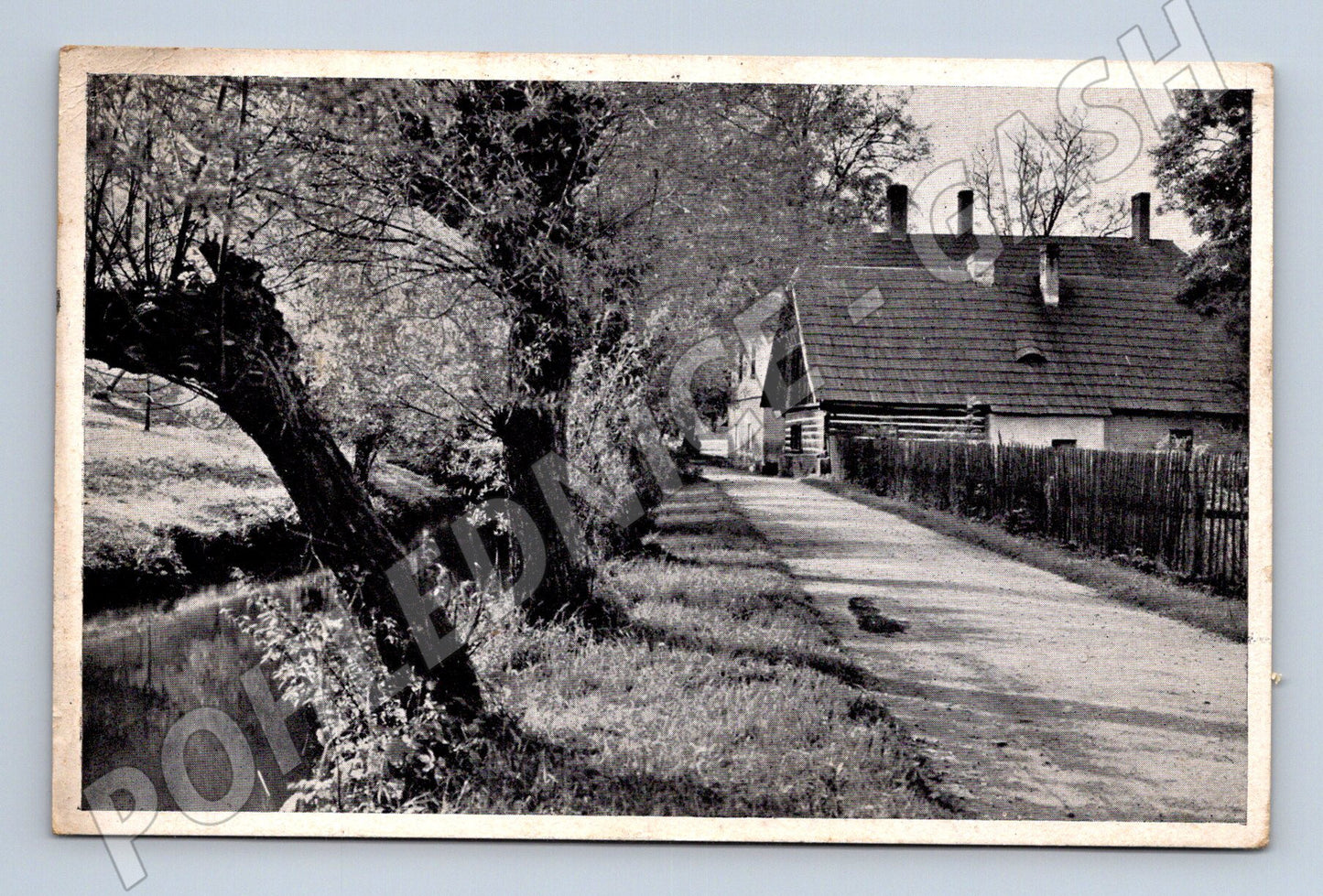 Pohlednice Staré Bělidlo česká vesnice 1945 (M20225)
