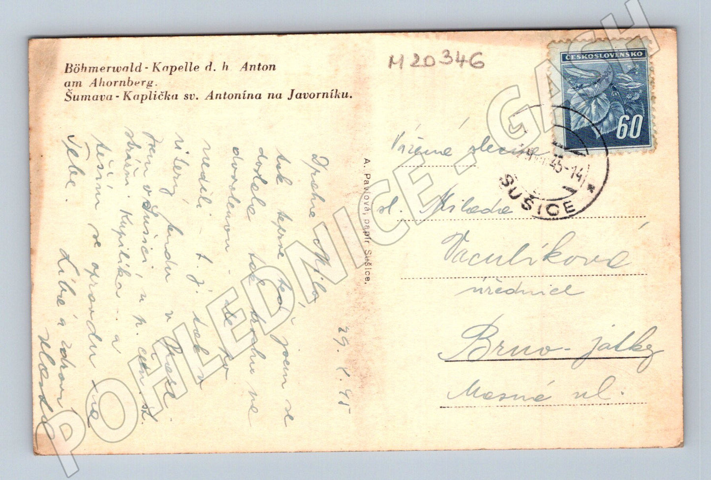 Pohlednice Javorník kaplička sv Antonína 1951 (M20346)