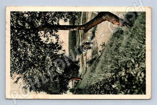Pohlednice venkovská krajina ČR 1944 (M20352)