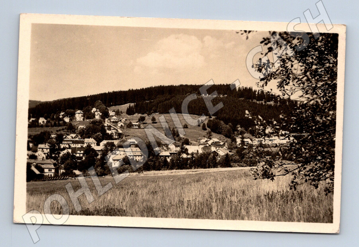 Pohlednice Železná Ruda Šumava (M20361)