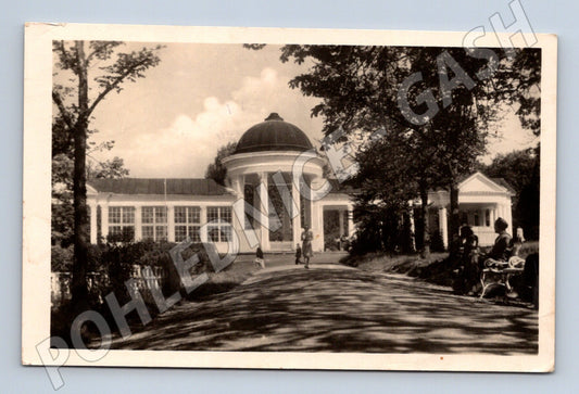 Pohlednice Mariánské Lázně Rudolfův a Ferdinandův pramen (M20408)