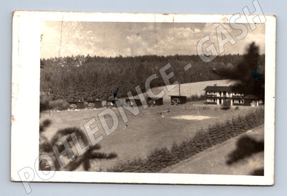 Pohlednice Sykovec chaty v lese 1950 (M20409)