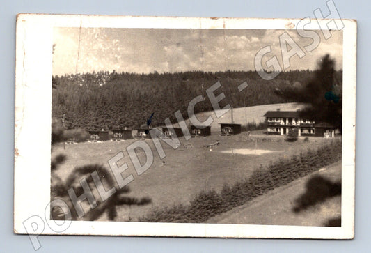 Pohlednice Sykovec chaty v lese 1950 (M20409)