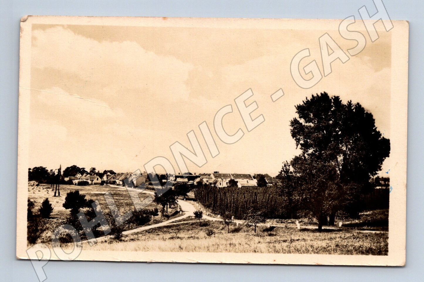 Pohlednice Selibice okres Žatec 50 léta (M20420)