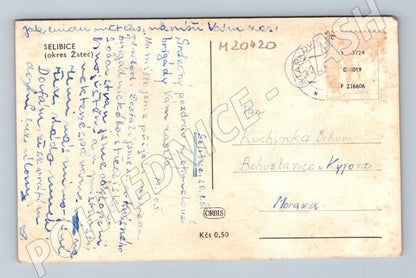 Pohlednice Selibice okres Žatec 50 léta (M20420)