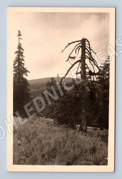 Pohlednice Praděd Jeseníky 1492 m (M20430)
