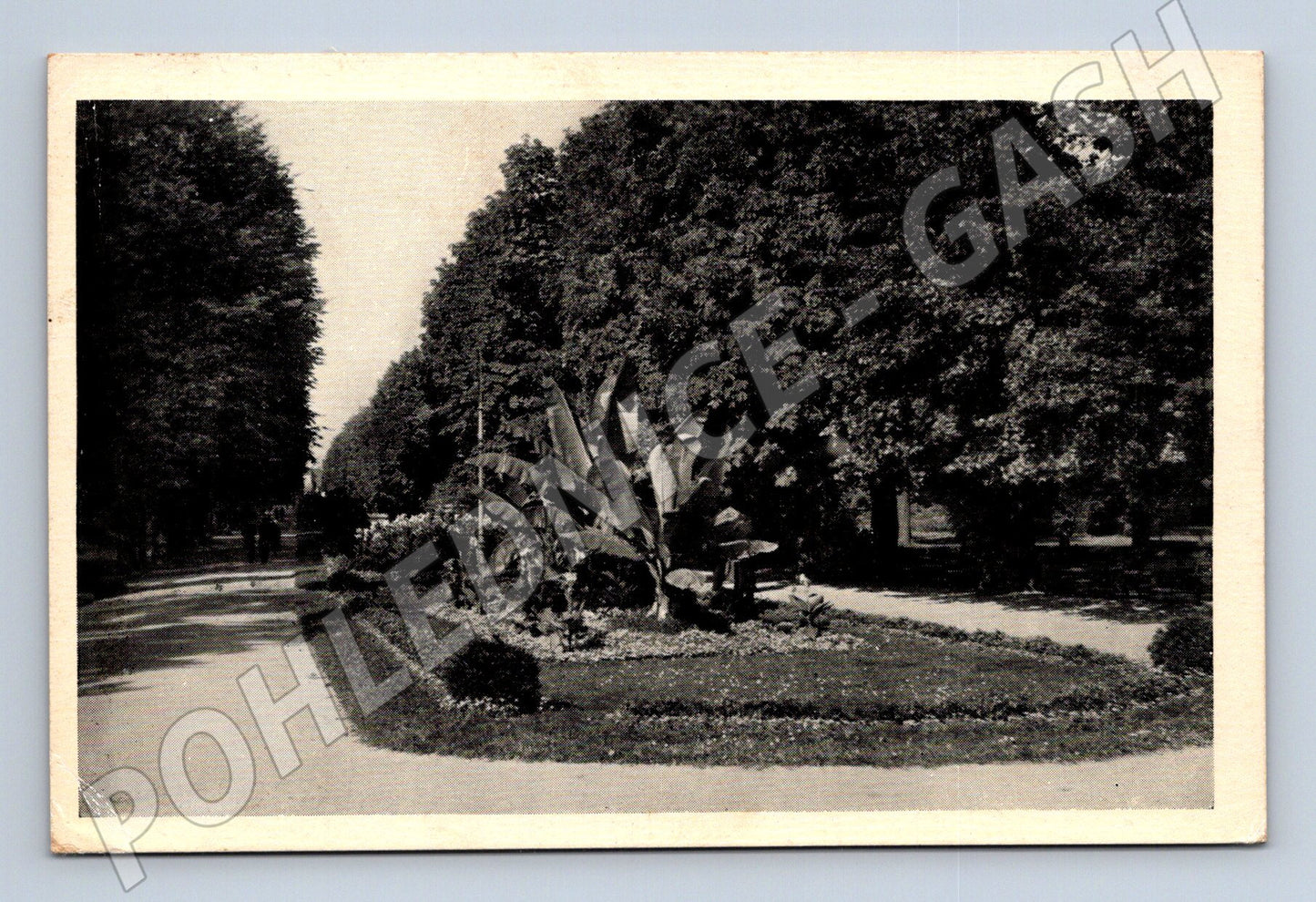 Pohlednice Olomouc Stadtpark (M20446)