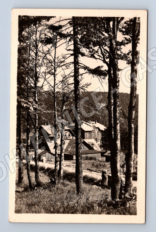 Pohlednice Červenohorské sedlo Jeseníky (M20457)