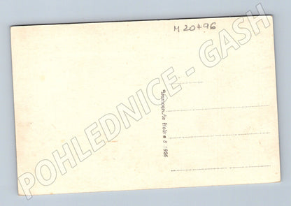 Pohlednice Vranov nad Dyjí zámek 1926 (M20496)