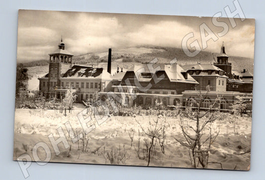 Pohlednice Zlaté Hory dětská ozdravovna 1951 (M20510)
