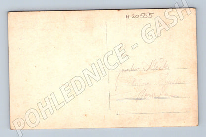 Pohlednice léčebna Paseka letecký pohled 1928 (M20555)