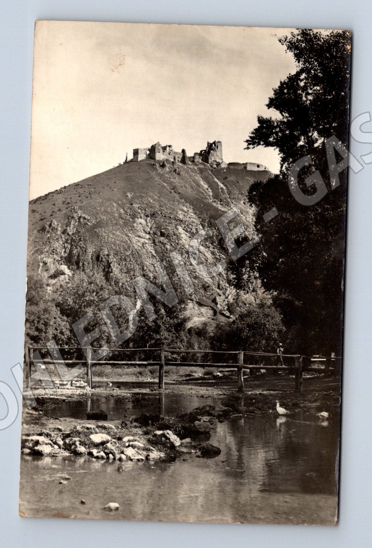Pohlednice hrad Čachtice (M20661)