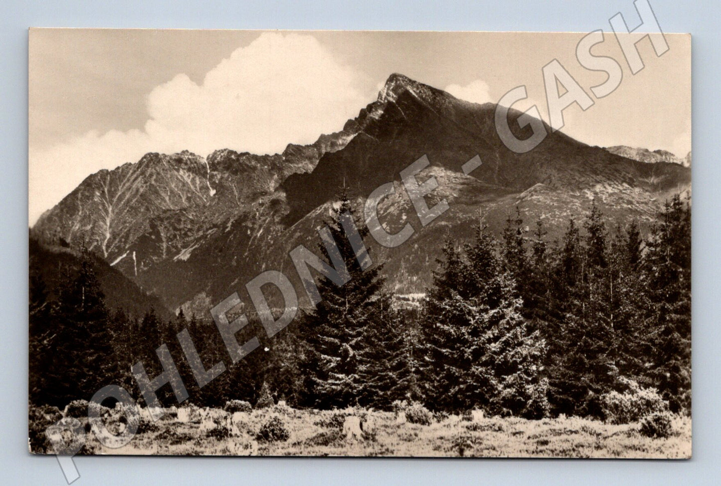 Pohlednice Kriváň Tatry (M20756)
