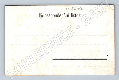 Pohlednice korespondenční lístek portrét muže (M20794)