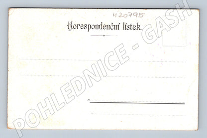 Pohlednice portrét mladíka korespondenční lístek (M20795)