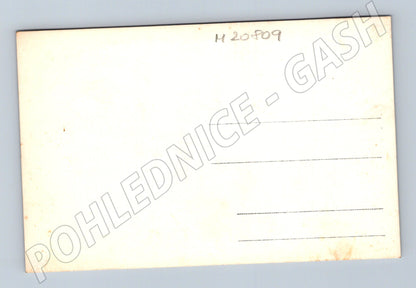 Pohlednice školní kolektiv skupina osob (M20809)