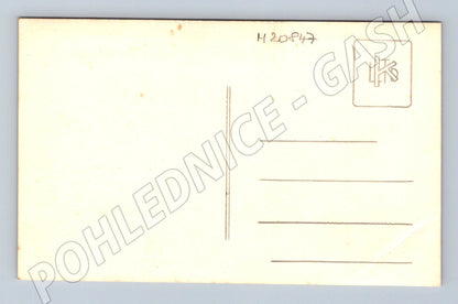 Pohlednice skupina v kostýmech divadelní soubor (M20847)