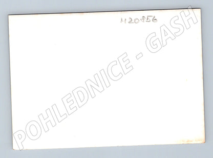 Pohlednice skupina před chatkami v lese (M20856)
