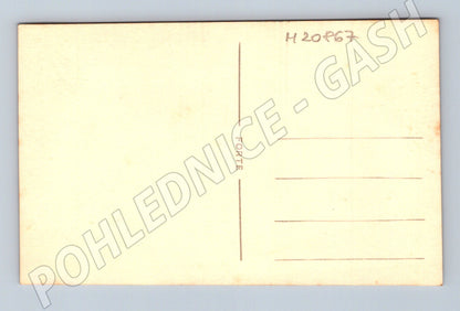 Pohlednice skupina lidí v přírodě ČSR (M20867)
