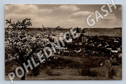 Pohlednice Kouřim rozkvetlé jaro 1951 (M2088)