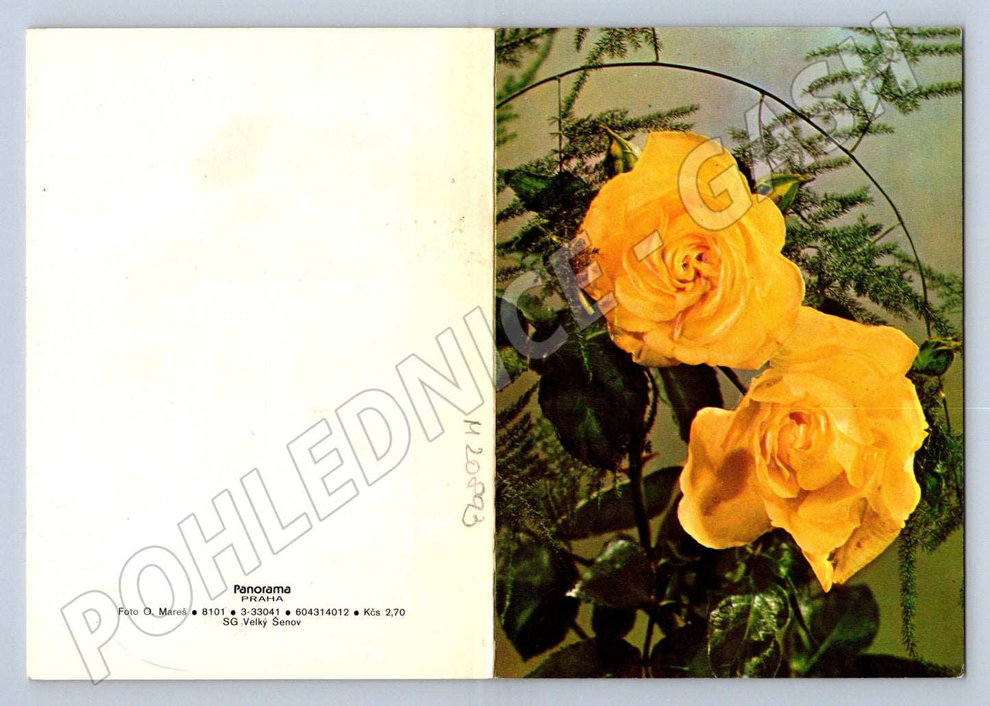 Pohlednice žluté růže Orbis Praha 1979 (M20893)