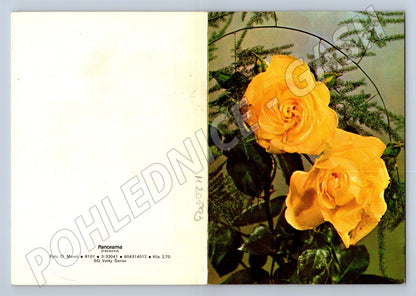 Pohlednice žluté růže Orbis Praha 1979 (M20893)
