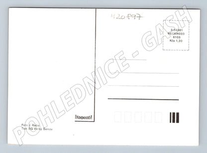 Pohlednice srdečné přání růže ve váze (M20897)
