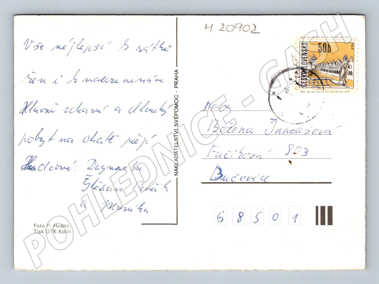 Pohlednice MDŽ narcisy (M20902)