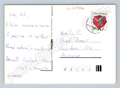Pohlednice srdečné přání květiny (M20906)