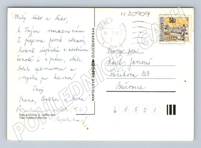Pohlednice srdečné blahopřání kopretiny 1988 (M20909)