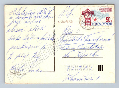 Pohlednice srdečné přání květina ve váze (M20913)