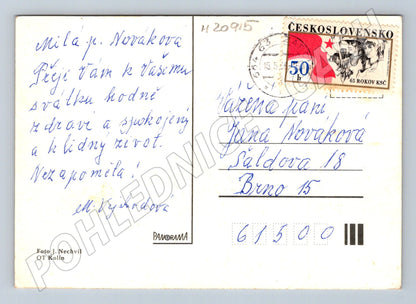 Pohlednice srdečné přání květiny známka (M20915)