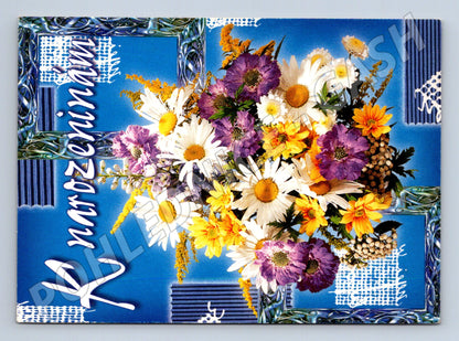 Pohlednice narozeniny 2005 (M20917)