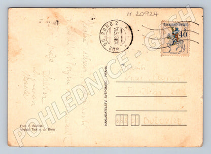 Pohlednice srdečné přání květiny (M20924)