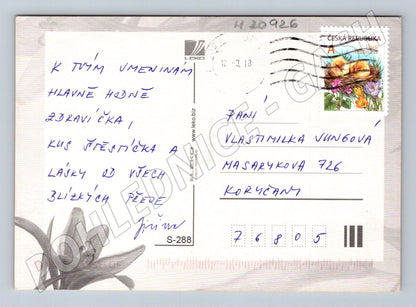 Pohlednice blahopřání květina velký formát (M20926)