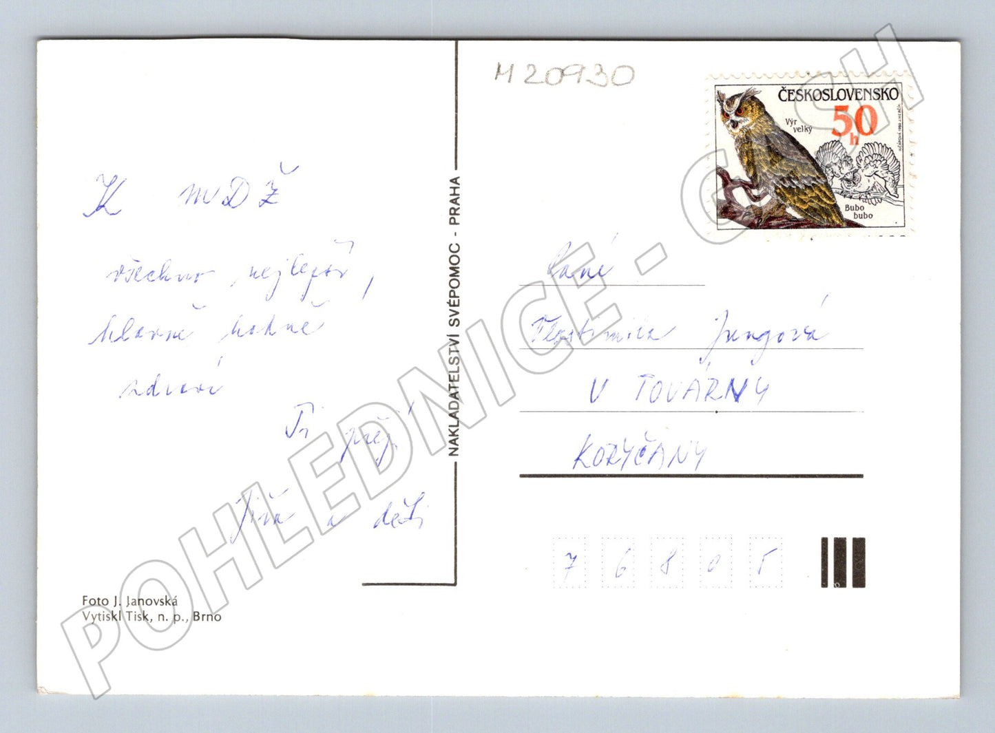 Pohlednice MDŽ žluté květiny (M20930)