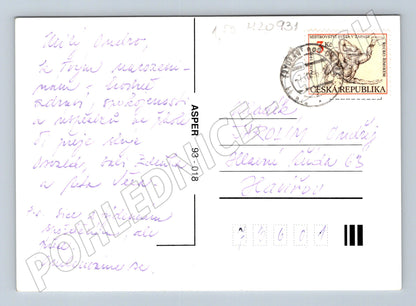 Pohlednice srdečné blahopřání květiny 1994 (M20931)