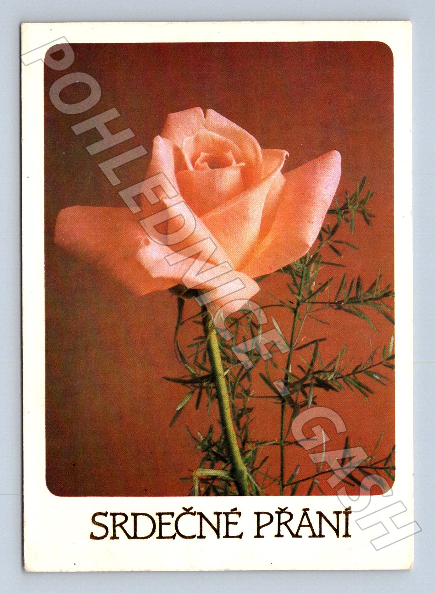 Pohlednice růže srdečné přání 1985 (M20932)