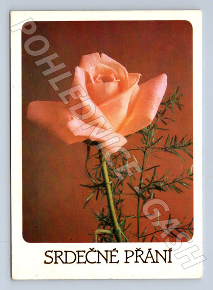 Pohlednice růže srdečné přání 1985 (M20932)