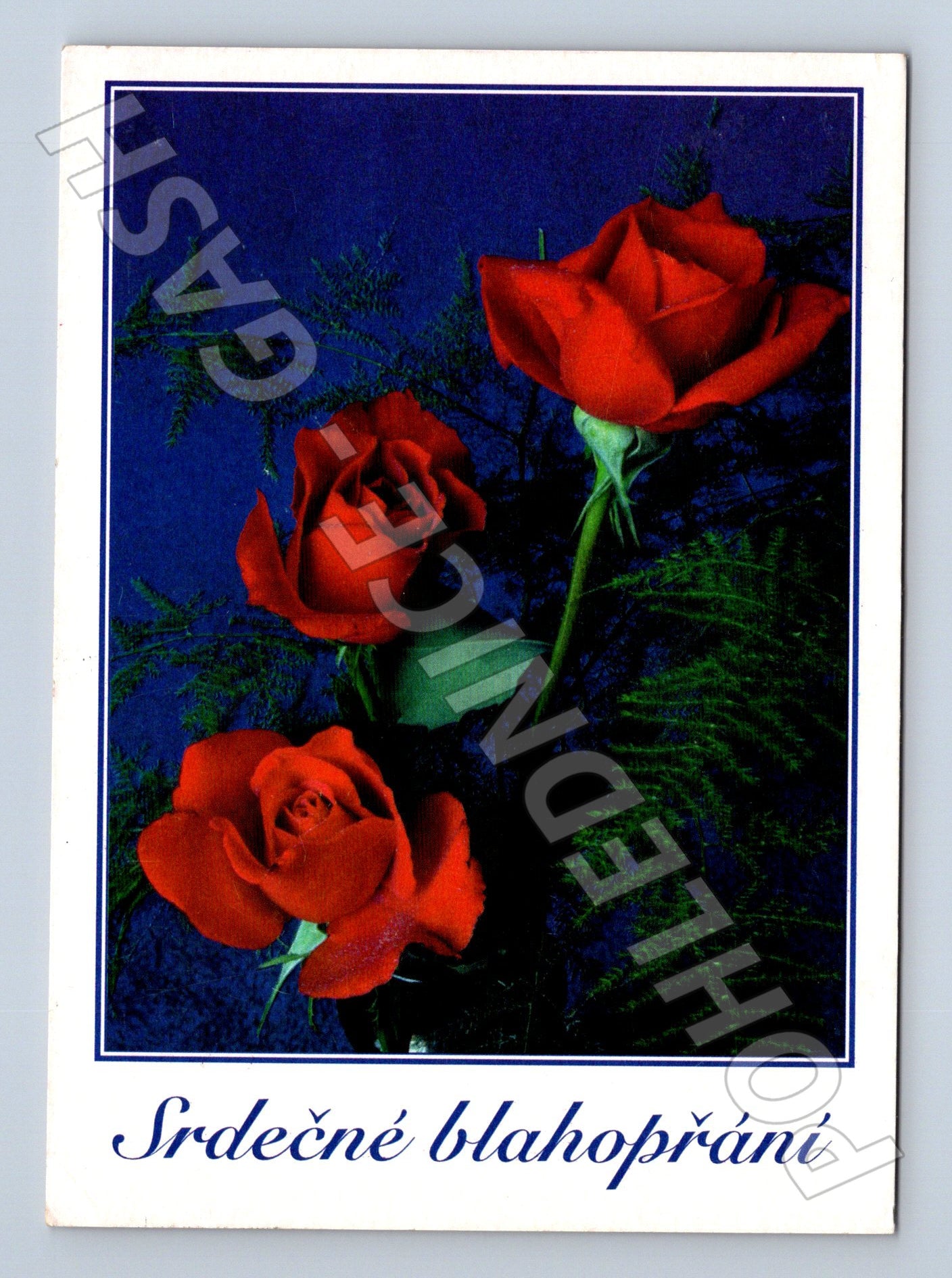 Pohlednice srdečné blahopřání růže 2002 (M20938)