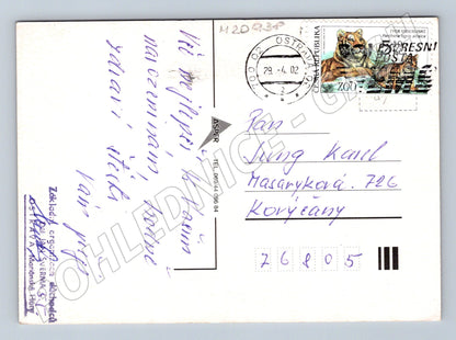 Pohlednice srdečné blahopřání růže 2002 (M20938)