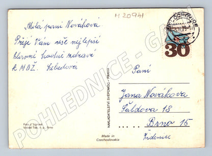 Pohlednice růže známka 1970s (M20941)