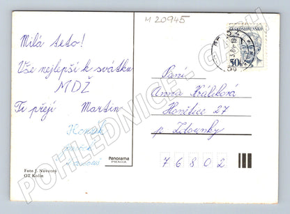 Pohlednice MDŽ žluté květiny 1984 (M20945)