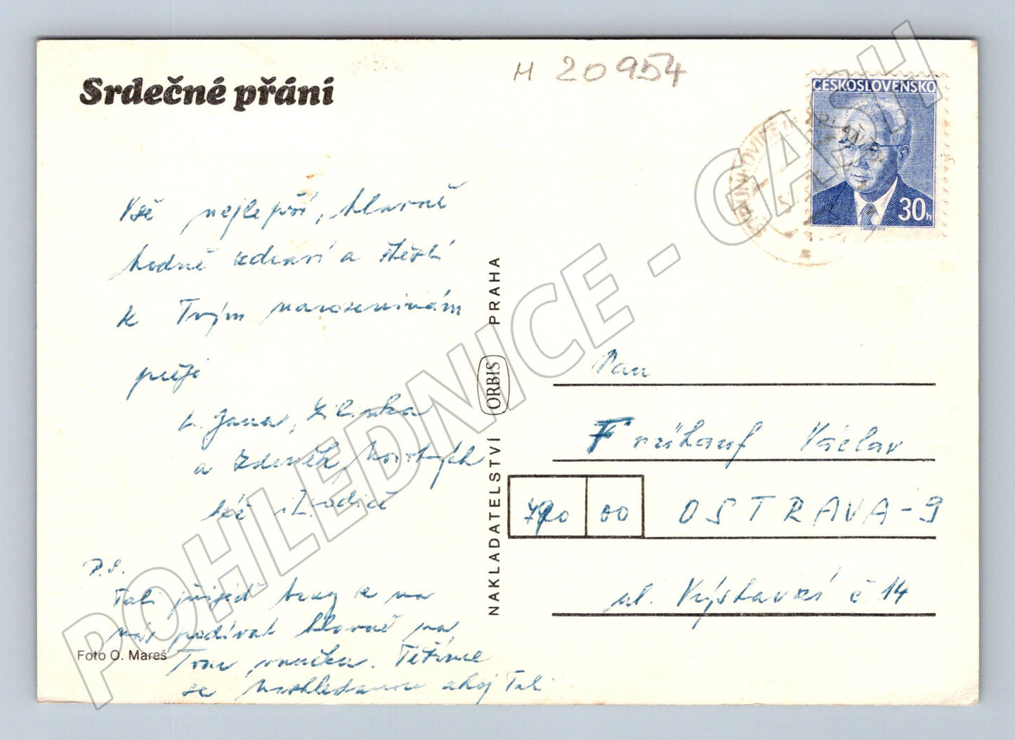 Pohlednice růže Orbis (M20954)