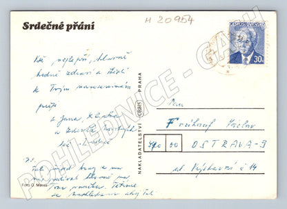 Pohlednice růže Orbis (M20954)