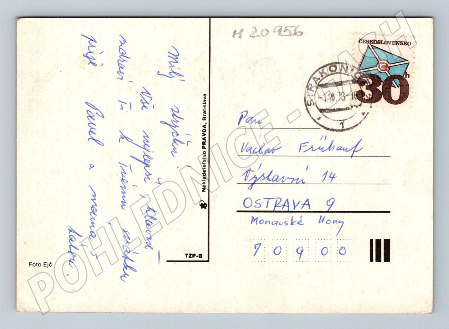 Pohlednice květiny 1973 (M20956)