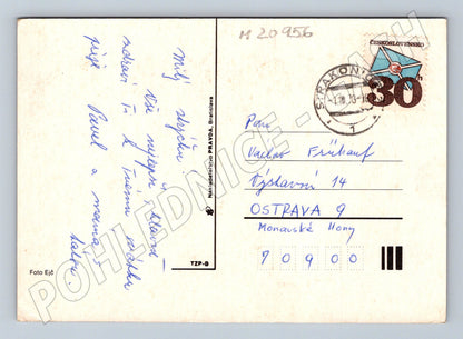 Pohlednice květiny 1973 (M20956)