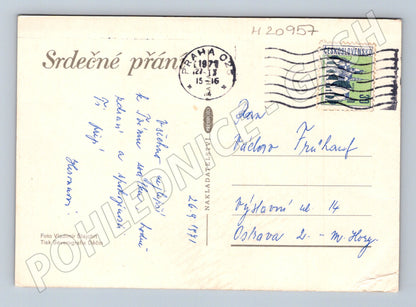Pohlednice květiny 1971 velký formát (M20957)